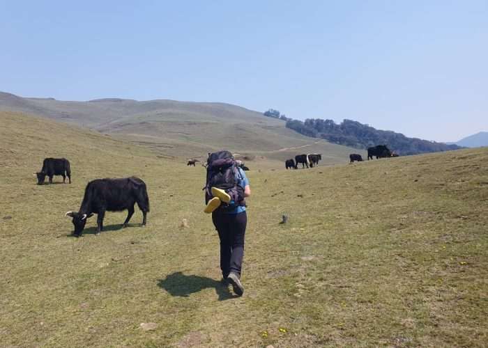 Mundhum Trail Trek grass landscape