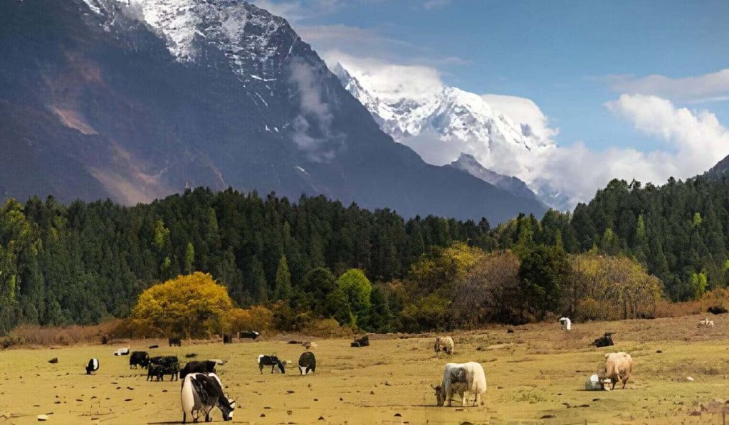 Manaslu Circuit Trek Tibet Border cost